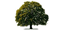 California Oaks
